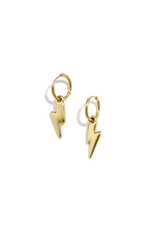 Elegant Irregular Shaped Drop Earrings - All Day Style